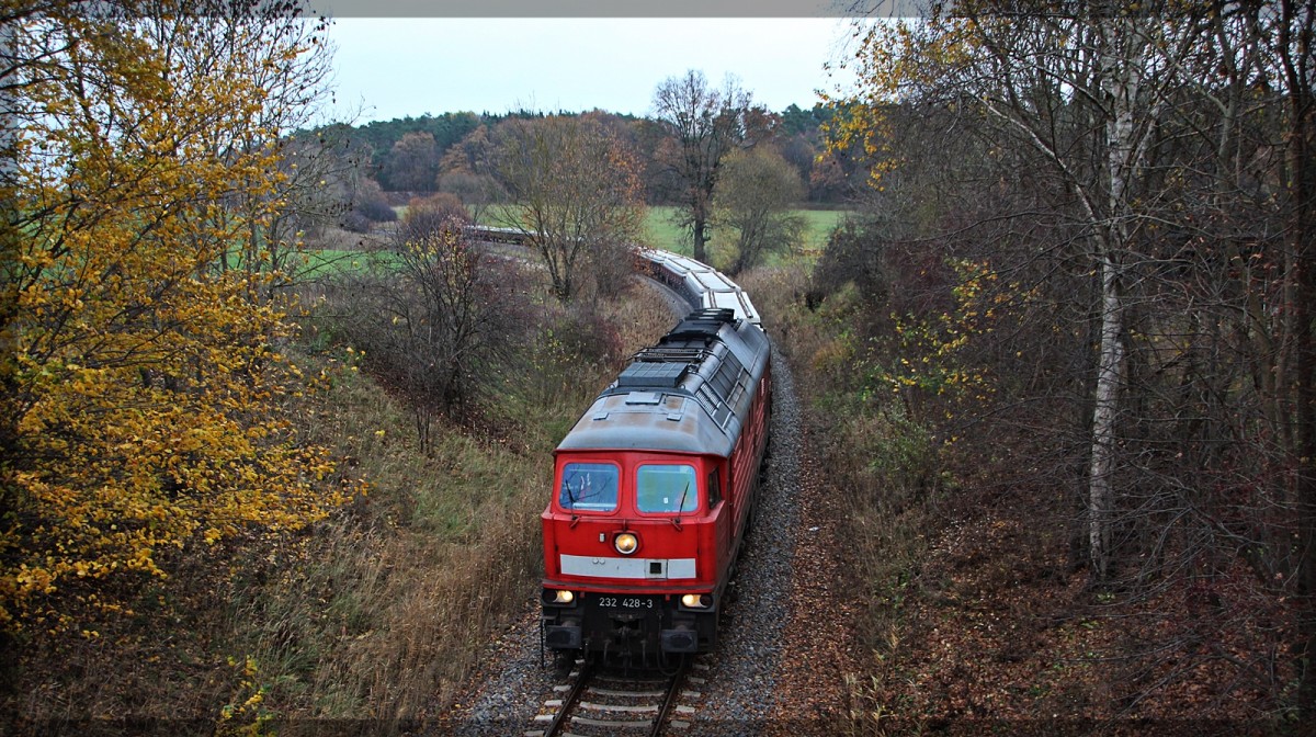 232 428 mit ihrer Übergabe in Klein Plasten in Richtung Kargow(Meckl.) fahrend am 13.11.2015