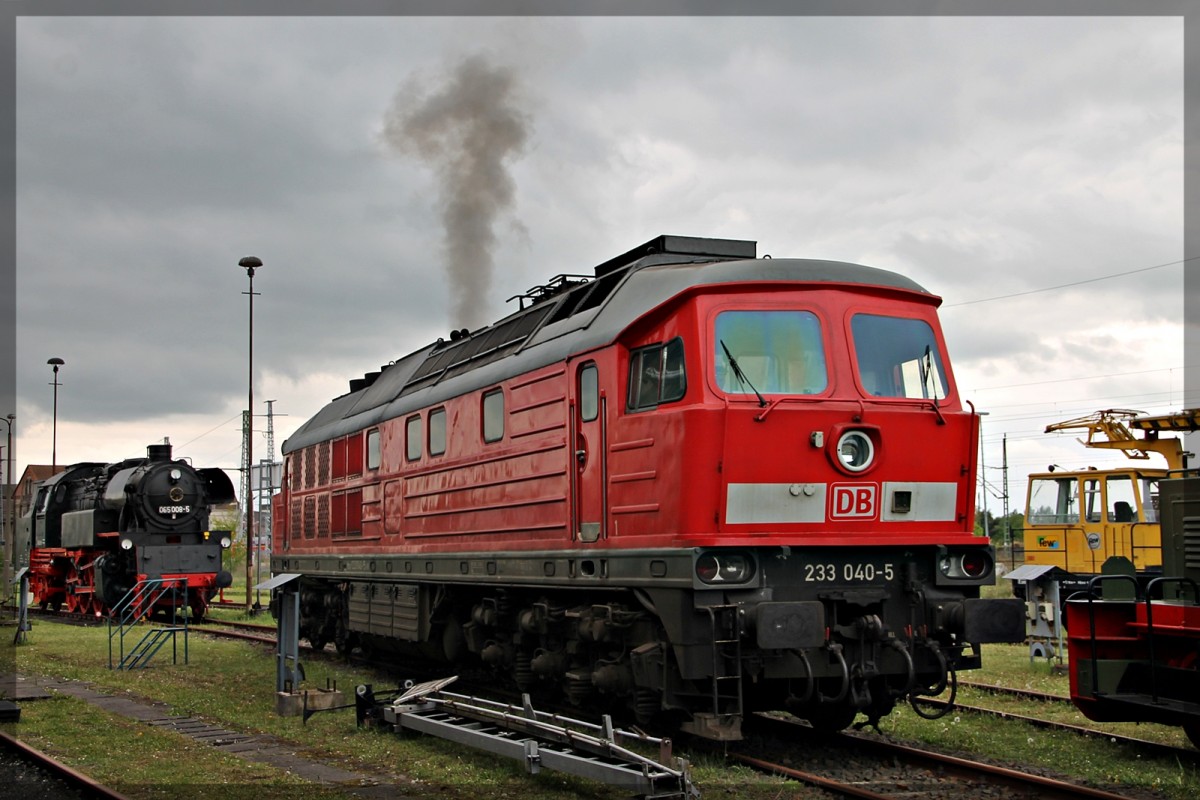 233 040 in Pasewalk bei  Pomenaria  am 06.05.2012 