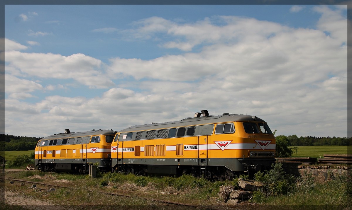 Die 216 012 (Lok 11) und die 216 122 (Lok 10) von Wiebe abgestellt in Möllenhagen am 22.05.2015
