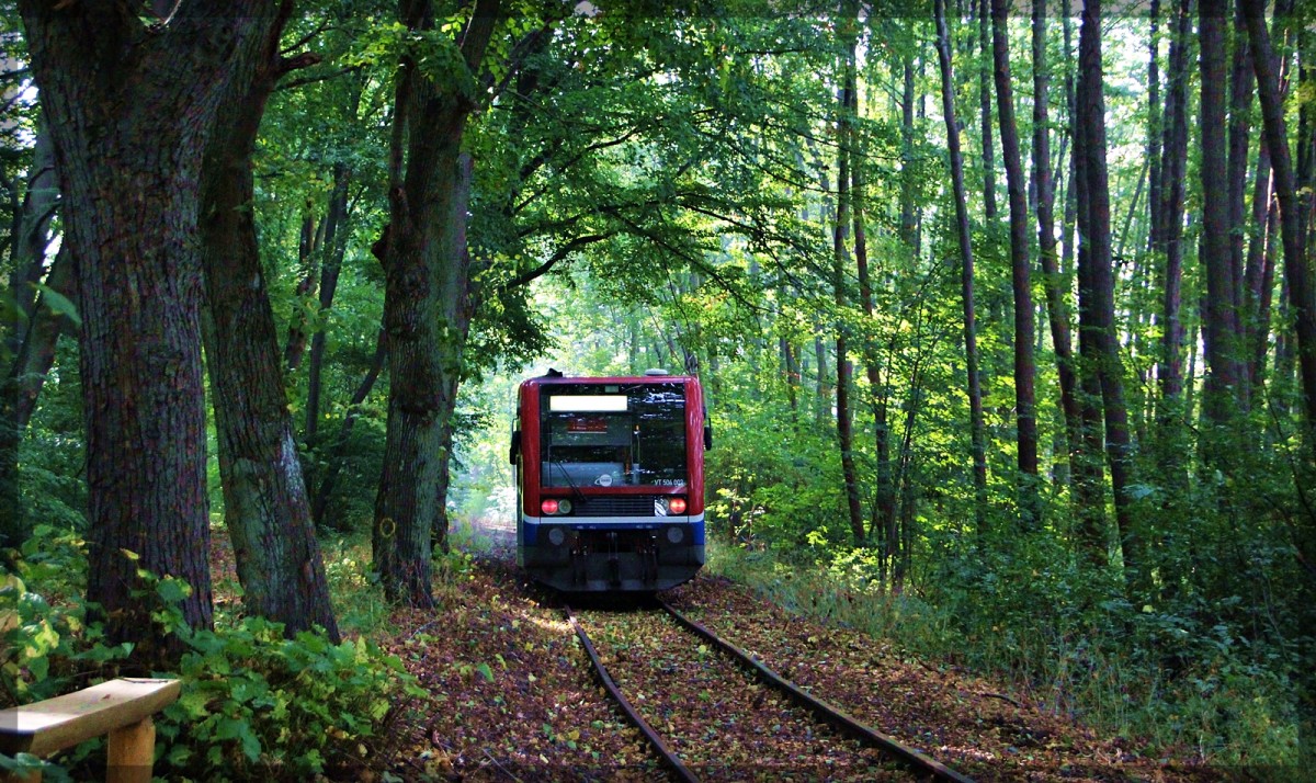 EGP/HANS VT 504 002 als  Kleinseebahn  nahe des Haltepunktes  Slawendorf  in Neustrelitz am 04.10.2015