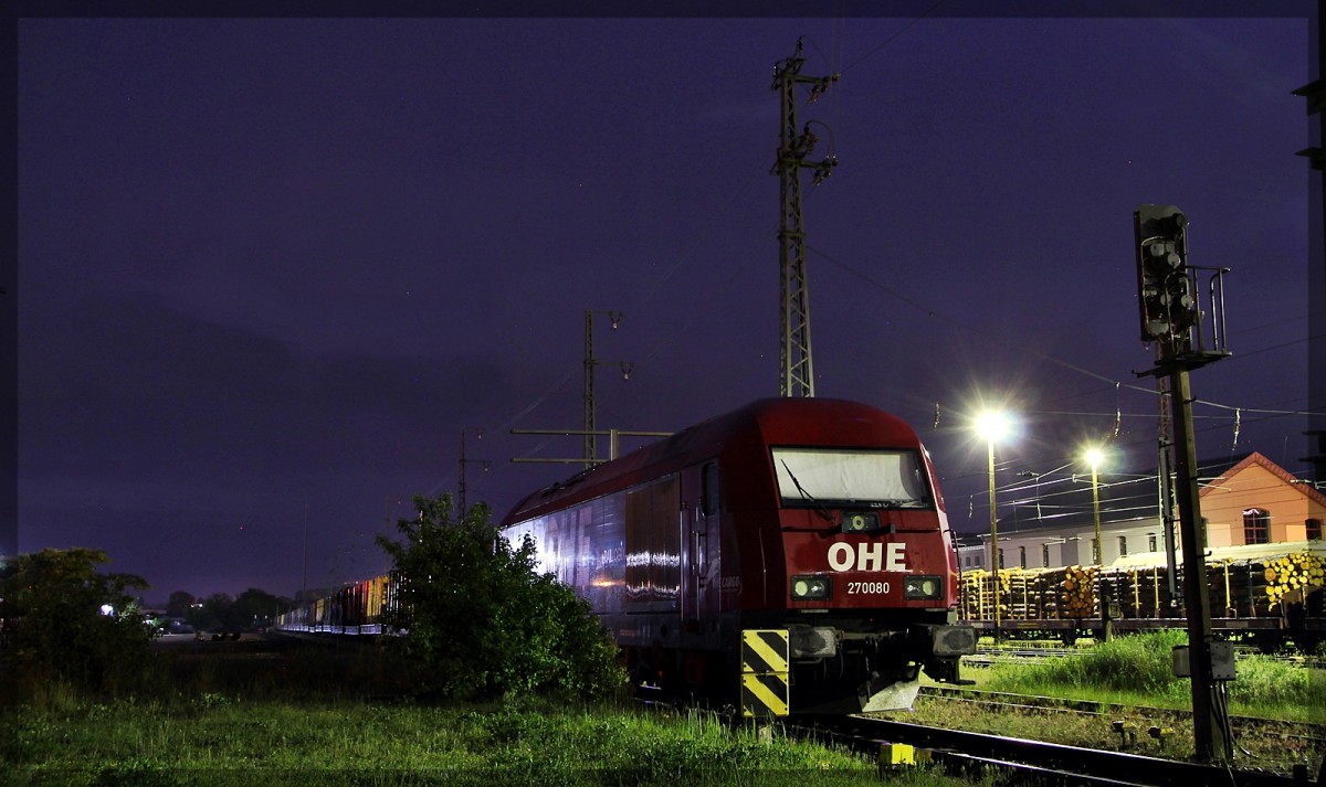 OHE 223 101  270080  in Neubrandenburg abgestellt am 28.05.2015