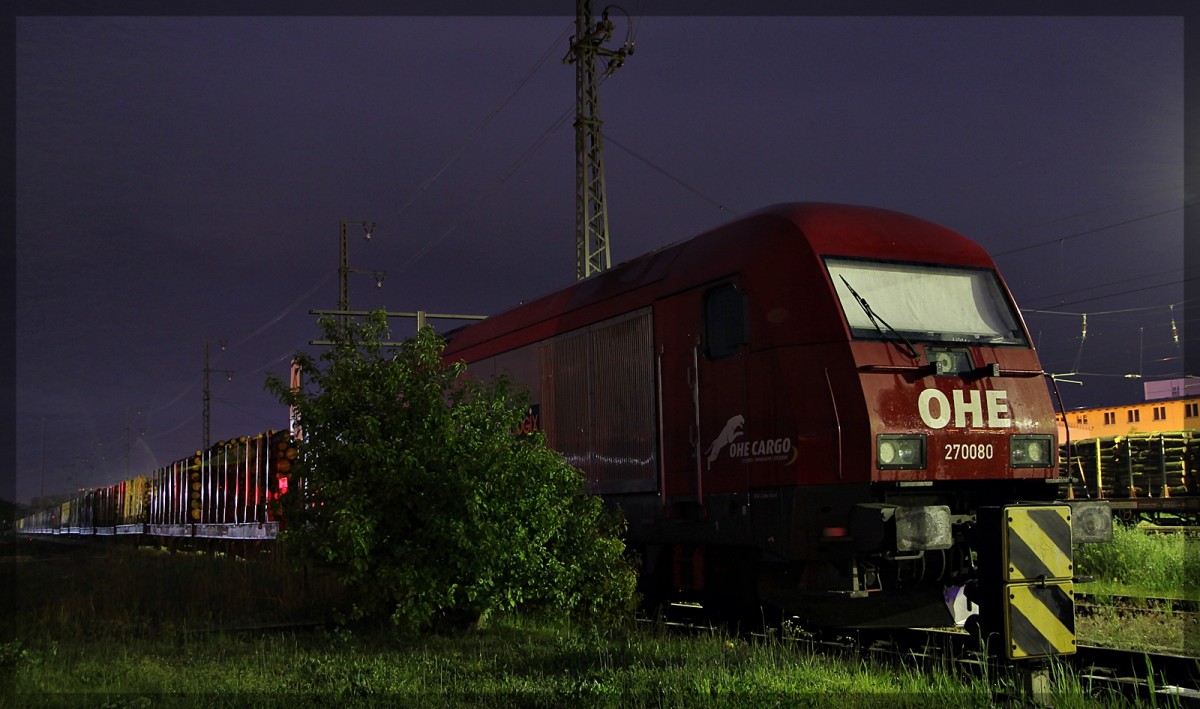 OHE 223 101  270080  in Neubrandenburg abgestellt am 28.05.2015