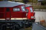 Am 27.10.2012 traf ich 2 Ludmillas in Angerm�nde an.