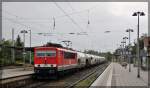 155 184 ( MEG 703 ) bei der Durchfahrt durch Neustrelitz Hbf am 05.09.2015