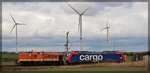 LOCON 211 ( 293 502-1 ) schiebt 482 049 von SBB/LOCON in die Werkstatt von Locon in Pinnow am 22.03.2016